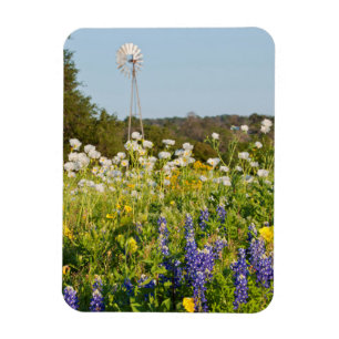 Wildblumen und Windmühle im Land Texas Hill Magnet