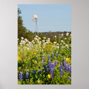 Wildblumen und Windmühle im Land Texas Hill Poster
