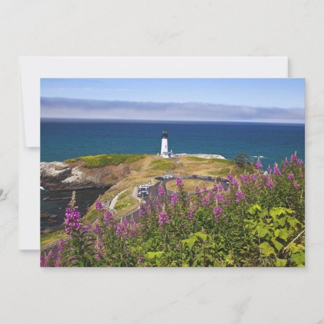 Wildblumen und Yaquina (Vorderseite)