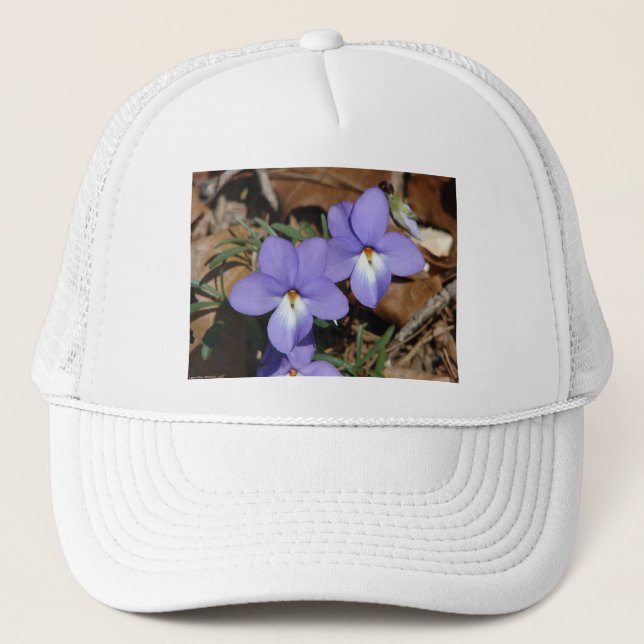 Wildblumen Vögel-Foot Violet III Geschenke und Bek Truckerkappe (Vorderseite)