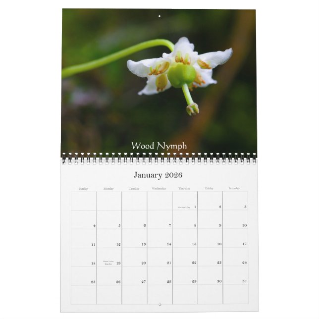 Wildblumen von Butte mit Haube Kalender (Jan 2026)