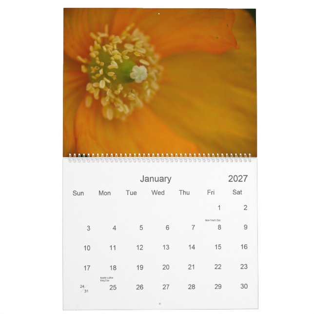 Wildblumen von Kalender Cornwalls 2009 (Jan 2027)