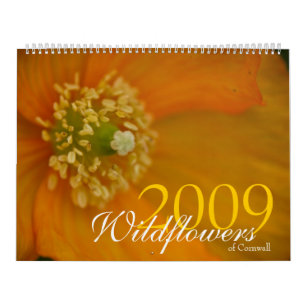 Wildblumen von Kalender Cornwalls 2009