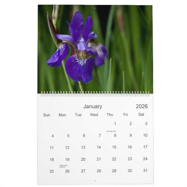 Wildblumen von Kalender Europas 2010 (Jan 2026)