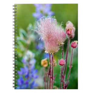 Wildblumen von Rauch in Aspen Grove 2 Notizblock