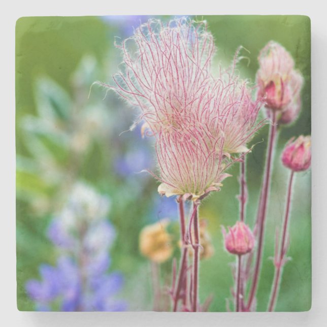Wildblumen von Rauch in Aspen Grove 2 Steinuntersetzer (Vorderseite)