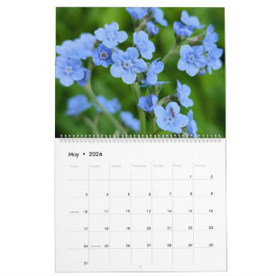 Wildblumen-Wunder – Ein Jahr voller natürlicher Sc Kalender
