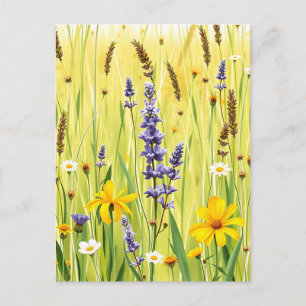 Wildblumenwiese Sommer Muster Postkarte