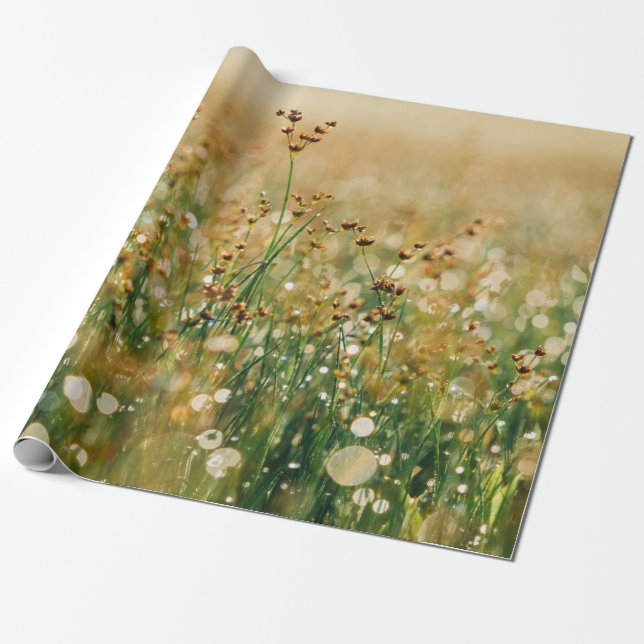 Wildblumewiese Geschenkpapier (Ungerollt)