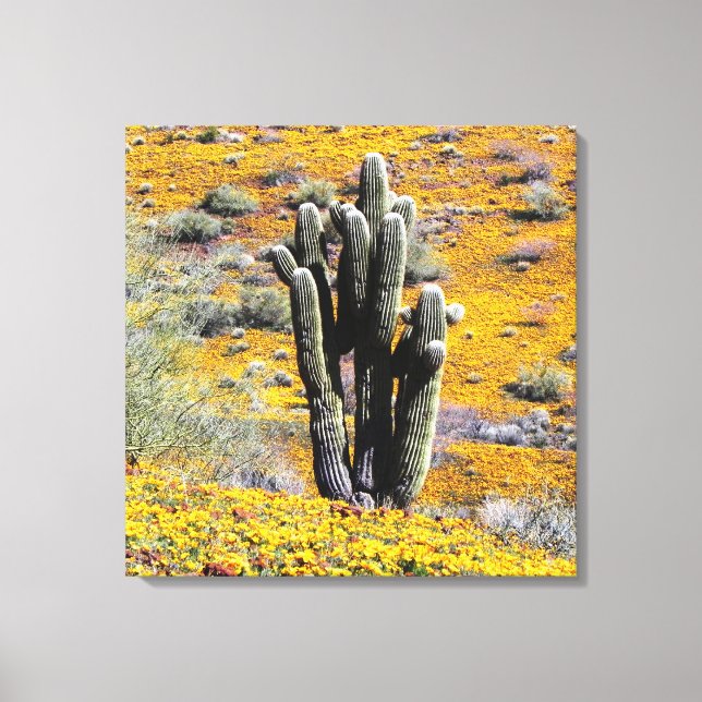 Wildblüte der Blume Leinwanddruck (Vorderseite)