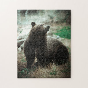 Wildbraun Grizzly Bärenwald Landschaft Aussicht