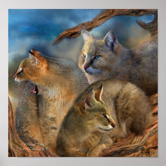 Wildcat Day Art Poster/Print Poster (Vorne)