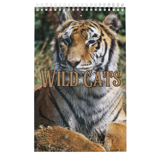 Wildcats Showcase Collection Wall Calendar Kalender (Titelbild)