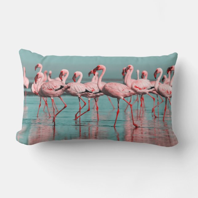 Wilde afrikanische Flamingos Lendenkissen (Vorderseite)