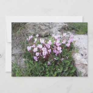 Wilde Alpenveilchen Feiertagskarte