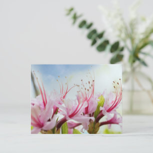 Wilde Azalea Blüten Einladungspostkarte