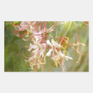 Wilde Azaleenblüten = Springtime Rechteckiger Aufkleber