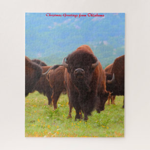 Wilde Bisons Oklahoma. Weihnachtsgrüße