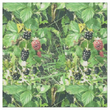 Wilde BlackBerry Sommer Hütte Kabine Decke