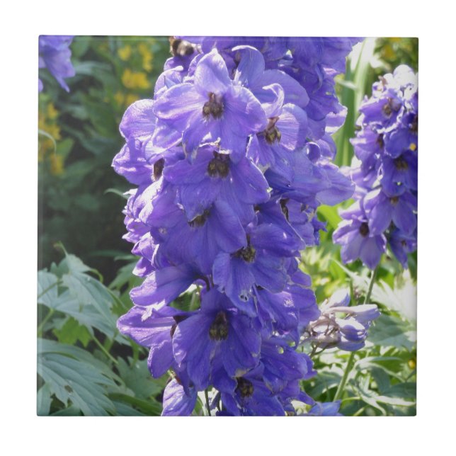Wilde blaue Fingerhut Fliese (Vorderseite)