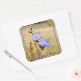 Wilde Blume am Morgen Quadratischer Aufkleber