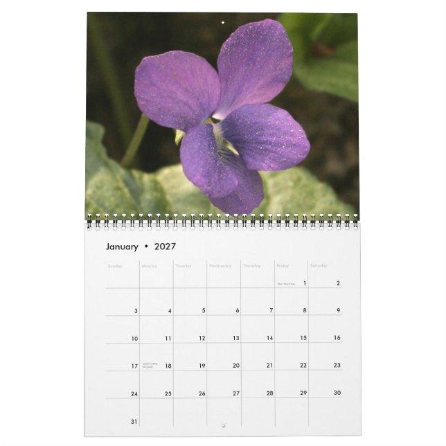 Wilde Blume, auf dem Ocmulgee Trail Kalender (Jan 2027)