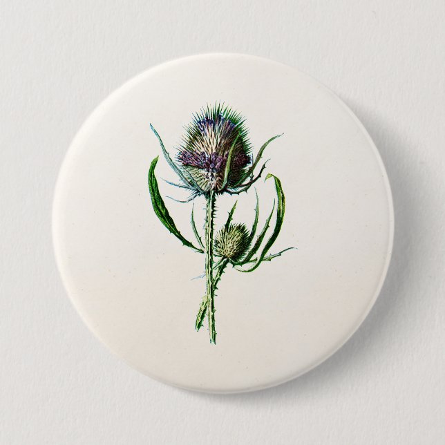 Wilde Blume der Vintagen alten schottischen Button (Vorderseite)