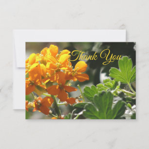 Wilde Blume Flat Danke Karte