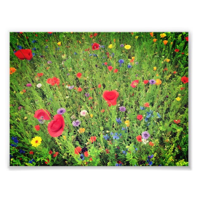 Wilde Blume Foto Beruflich Paper (Satin) (Vorne)