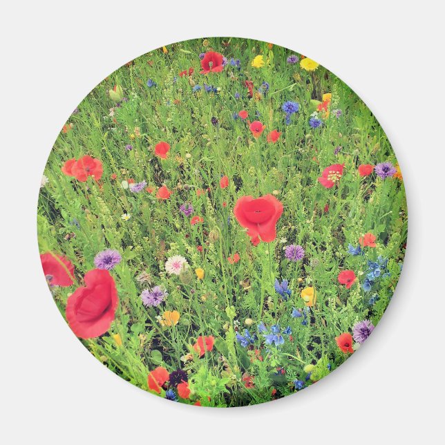 Wilde Blume Frühjahr Foto 5,7 cm Rundmagazin Magnet (Vorne)