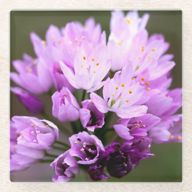 Wilde Blume Glasuntersetzer (Vorderseite)