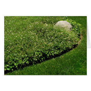 Wilde Blume Grüngras