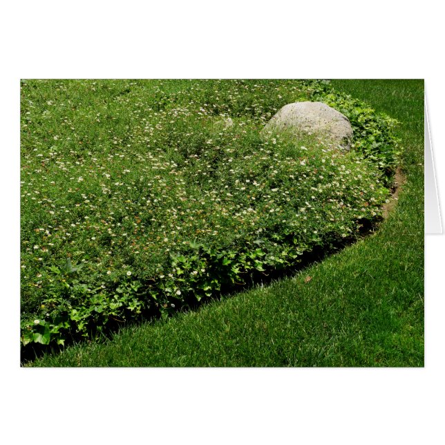 Wilde Blume Grüngras (Vorderseite (Horizontal))