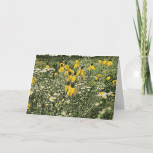 Wilde Blume Häufig Daisy Brown Mit Augen Susan Karte