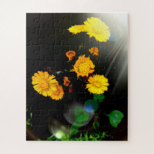 Wilde Blume im Sonnenschein