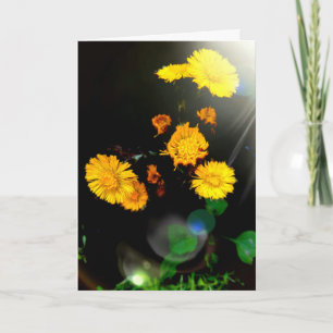 Wilde Blume im Sonnenschein Karte