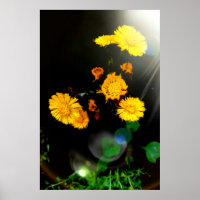 Wilde Blume im Sonnenschein