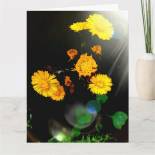 Wilde Blume in der Sonnenkarte Karte