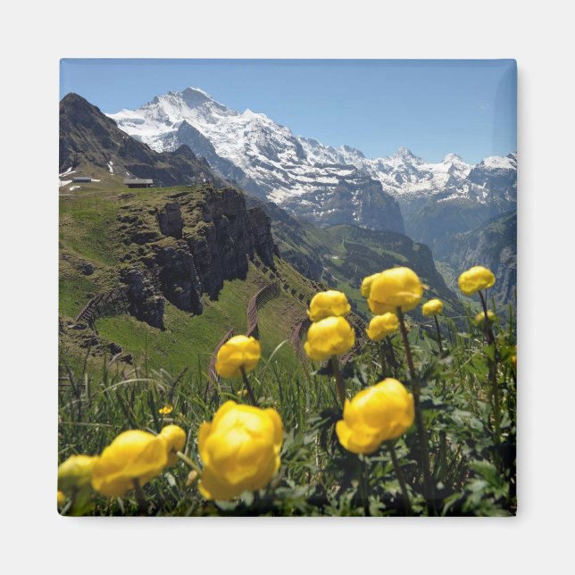 Wilde Blume Jungfrau Region Magnet (Vorne)