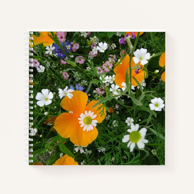 Wilde Blume: Orange White Pink Notebook Notizbuch (Vorderseite)