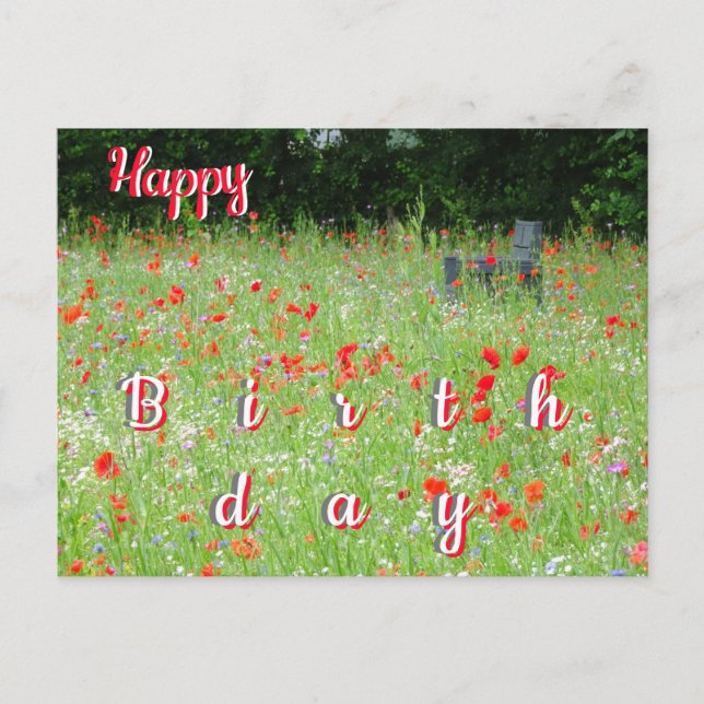 Wilde Blume Poppies Bench Happy Birthday Postcard Postkarte (Vorderseite)
