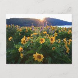 Wilde Blume Postkarte