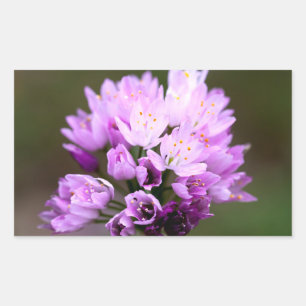 Wilde Blume Rechteckiger Aufkleber