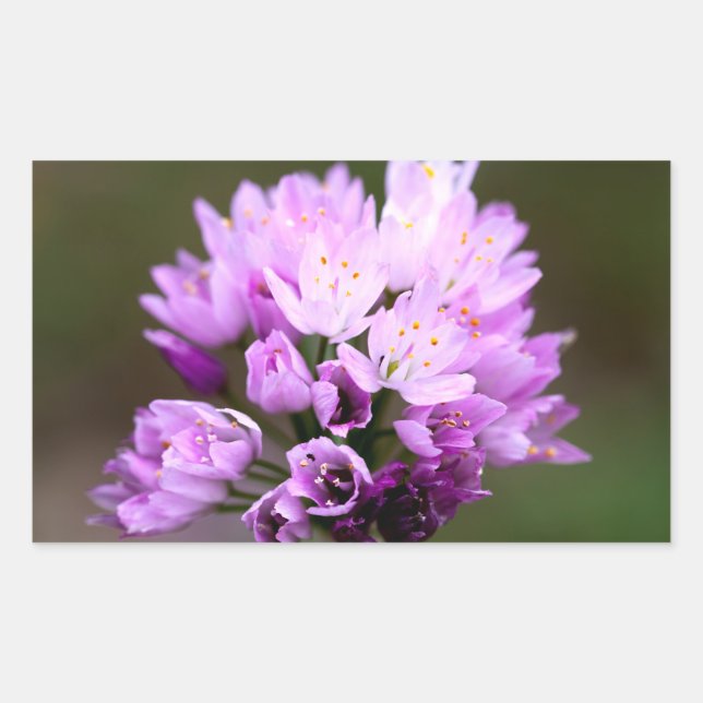 Wilde Blume Rechteckiger Aufkleber (Vorderseite)