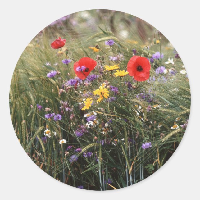 Wilde Blume Runder Aufkleber (Vorderseite)