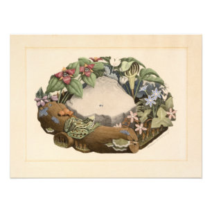 Wilde Blume von Grant Wood Fotodruck