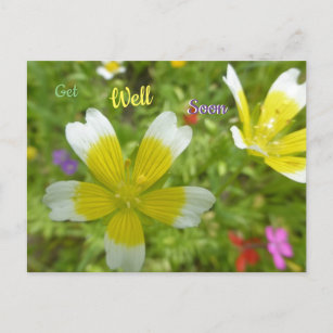 Wilde Blume: Weiß Gelb wird bald gut Postkarte