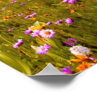 Wilde Blumen auf Bergwiese - Gelb Lila Poster
