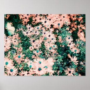 Wilde Blumen Einzigartige Farben Poster