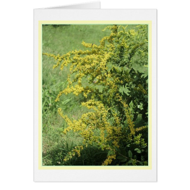 Wilde Blumen-Karte (Vorne)